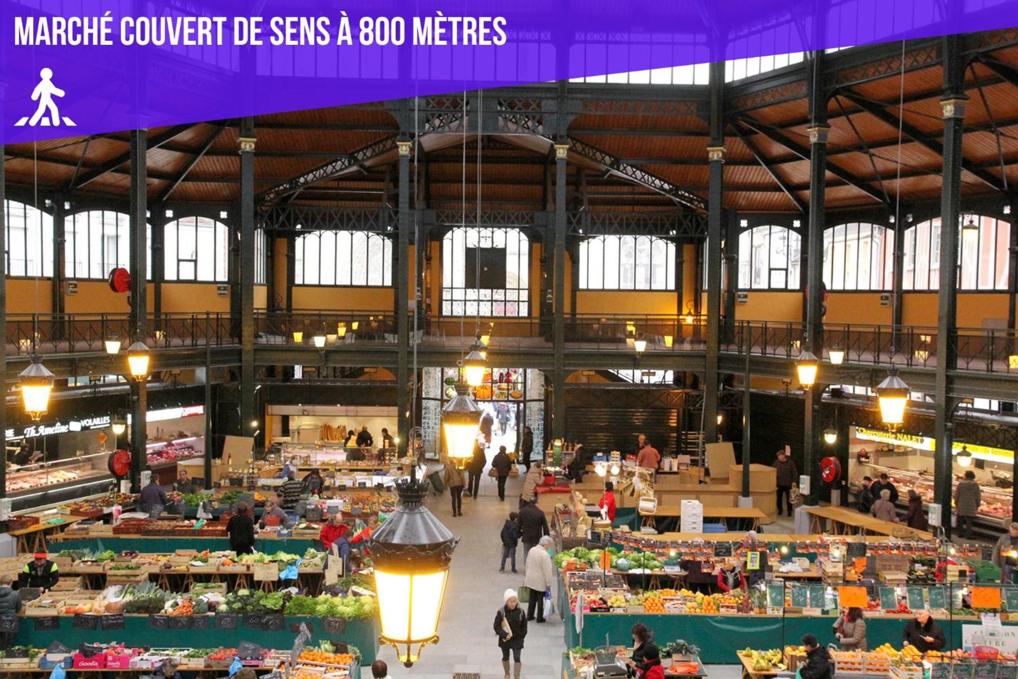 Le Premier - Charmant T2 A 600M Du Centre Ville Sens Eksteriør billede